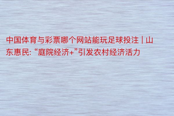 中国体育与彩票哪个网站能玩足球投注 | 山东惠民: “庭院经济+”引发农村经济活力