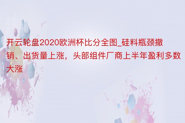 开云轮盘2020欧洲杯比分全图_硅料瓶颈撤销、出货量上涨，头部组件厂商上半年盈利多数大涨