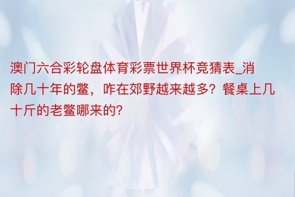 澳门六合彩轮盘体育彩票世界杯竞猜表_消除几十年的鳖，咋在郊野越来越多？餐桌上几十斤的老鳖哪来的？