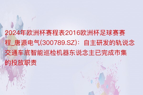 2024年欧洲杯赛程表2016欧洲杯足球赛赛程_唐源电气(300789.SZ)：自主研发的轨说念交通车底智能巡检机器东说念主已完成市集的投放职责